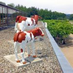 Deko Kuh Red Holstein lebensgross GFK